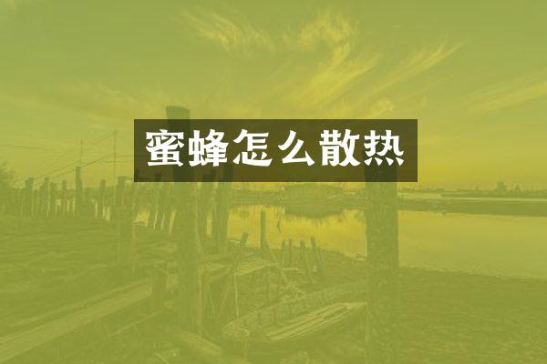 蜜蜂怎么散热