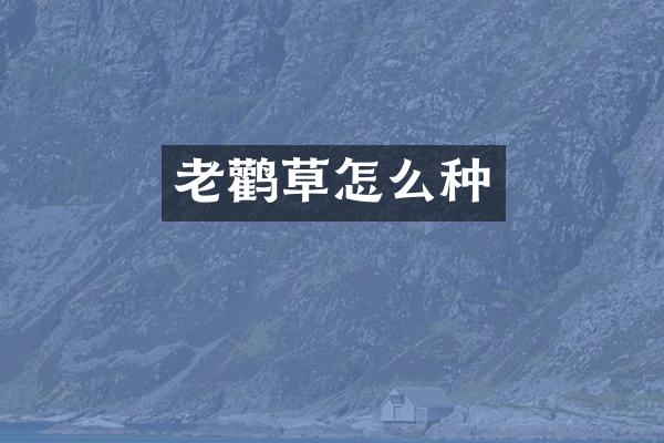 老鹳草怎么种