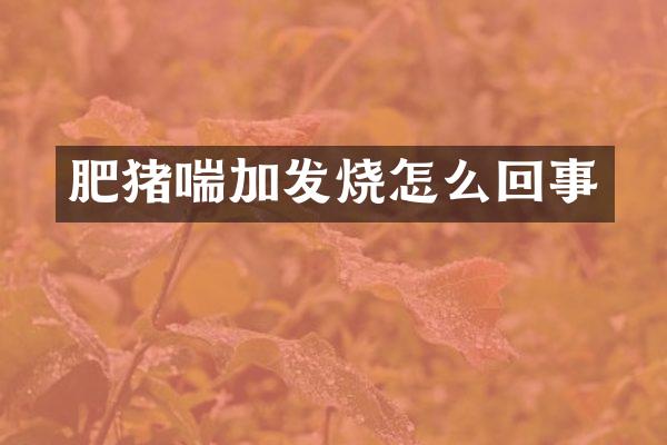 肥猪喘加发烧怎么回事