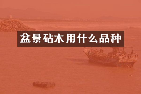 盆景砧木用什么品种