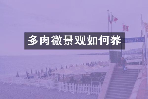 多肉微景观如何养