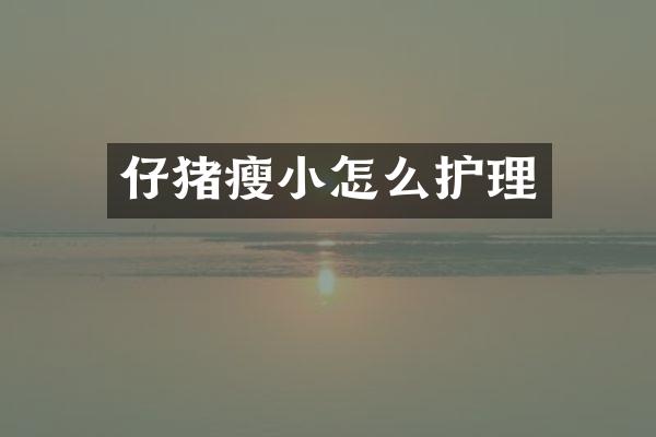 仔猪瘦小怎么护理