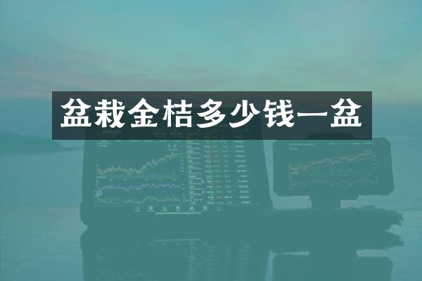盆栽金桔多少钱一盆