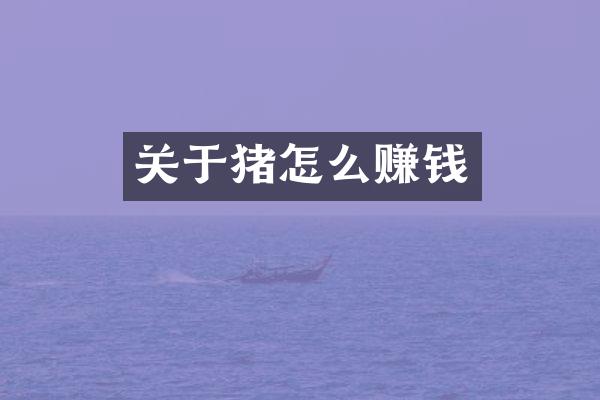 关于猪怎么赚钱