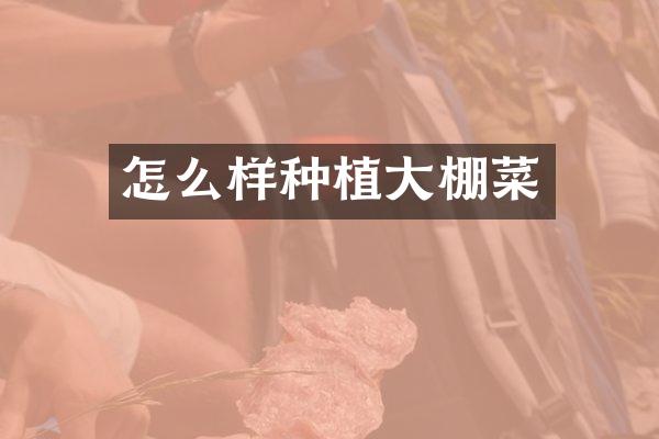 怎么样种植大棚菜