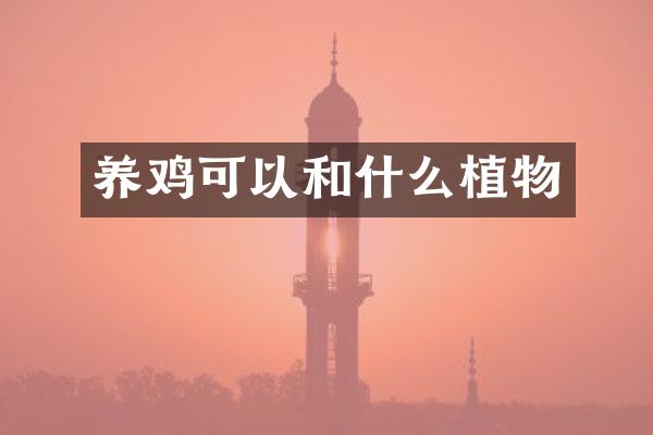养鸡可以和什么植物