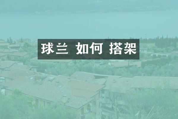 球兰 如何 搭架