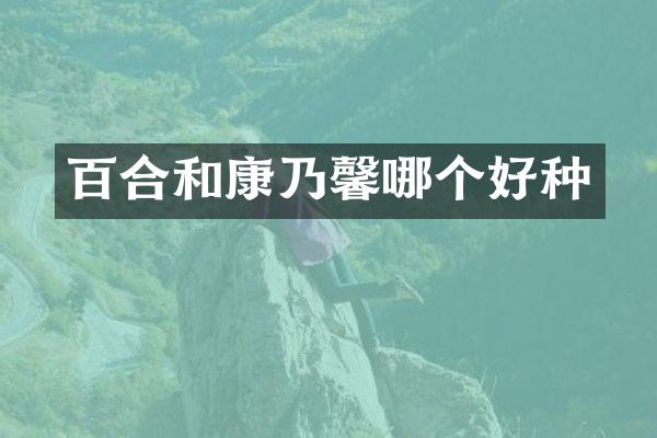 百合和康乃馨哪个好种
