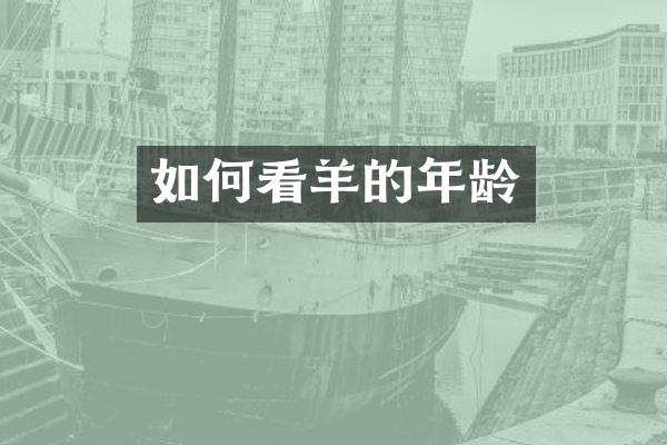 如何看羊的年龄