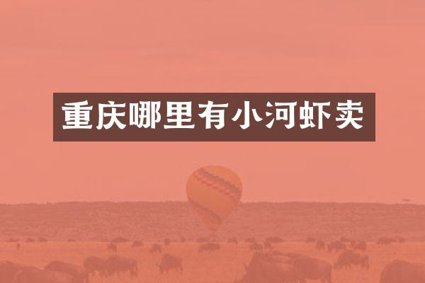 重庆哪里有小河虾卖