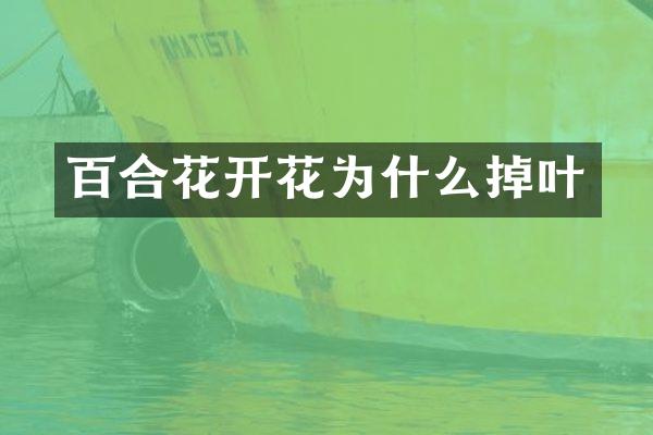 百合花开花为什么掉叶