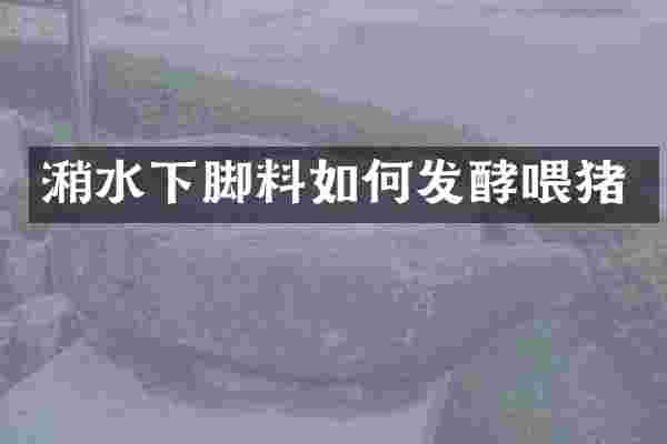 潲水下脚料如何发酵喂猪