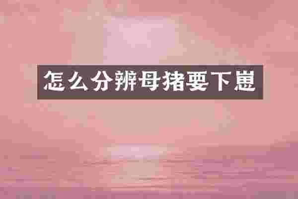 怎么分辨母猪要下崽