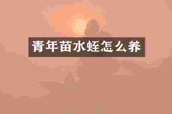 青年苗水蛭怎么养