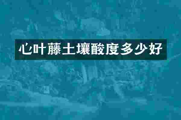 心叶藤土壤酸度多少好