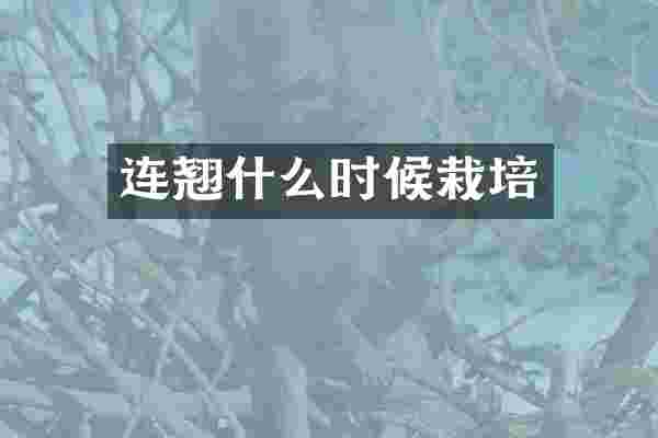 连翘什么时候栽培