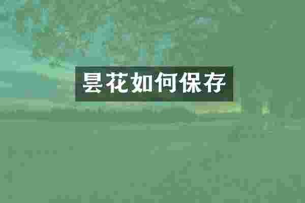 昙花如何保存