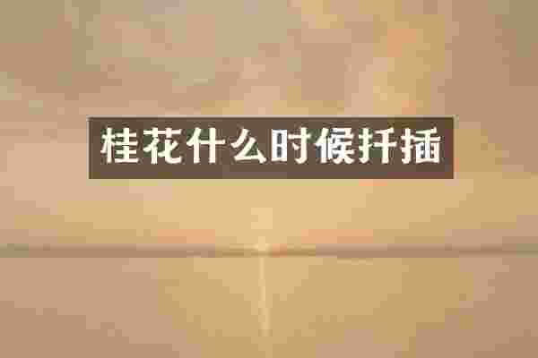 桂花什么时候扦插