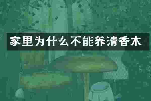 家里为什么不能养清香木