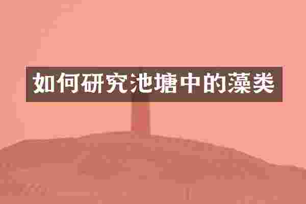 如何研究池塘中的藻类