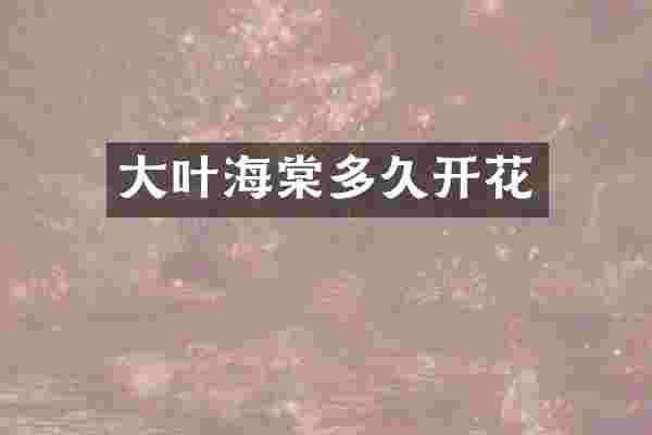 大叶海棠多久开花