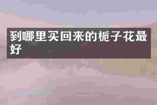 到哪里买回来的栀子花最好
