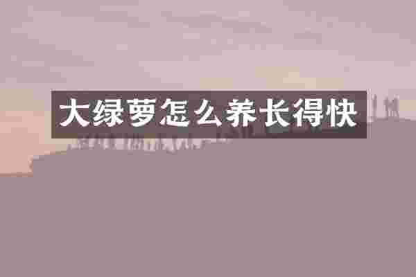 大绿萝怎么养长得快