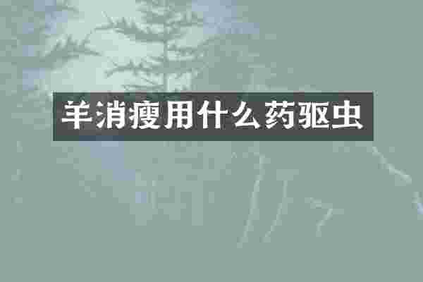 羊消瘦用什么药驱虫