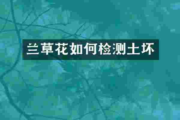 兰草花如何检测土坏