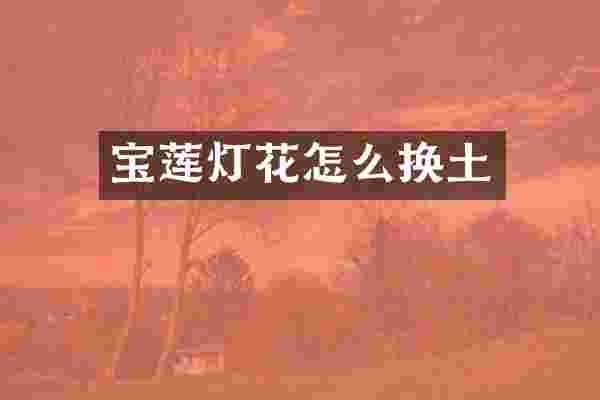 宝莲灯花怎么换土