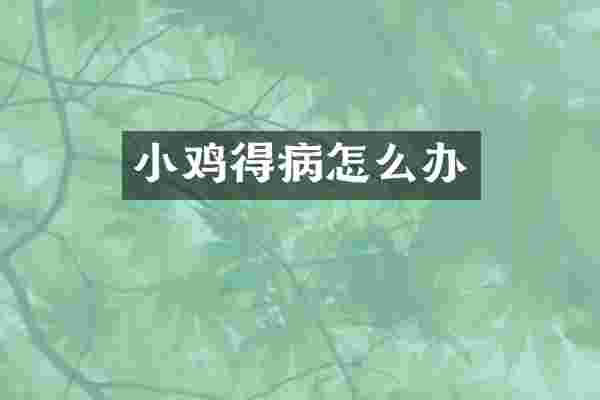 小鸡得病怎么办