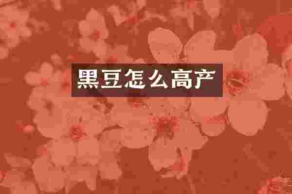 黑豆怎么高产