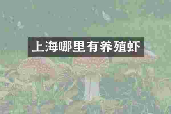 上海哪里有养殖虾