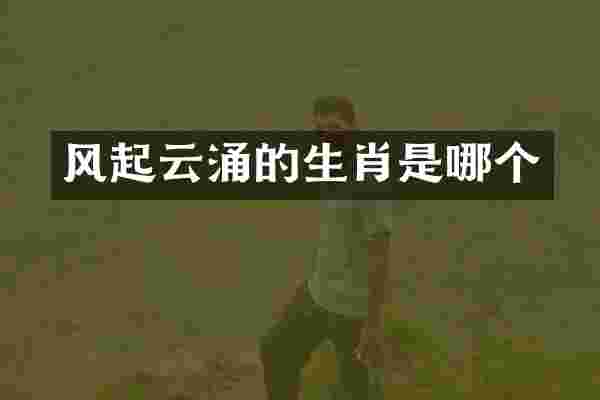 风起云涌的生肖是哪个
