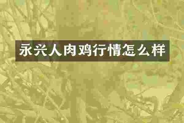 永兴人肉鸡行情怎么样