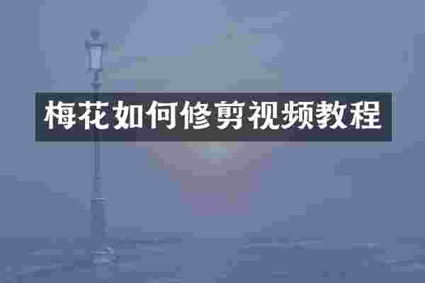梅花如何修剪视频教程