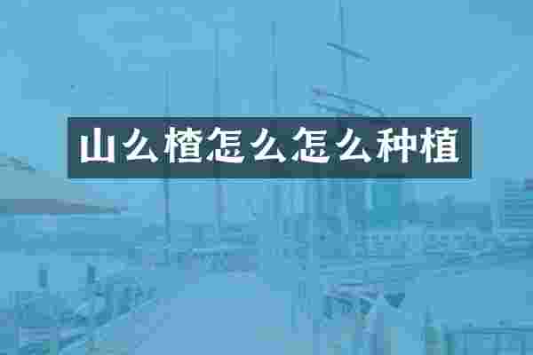 山么楂怎么怎么种植