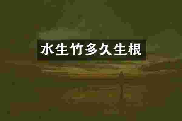 水生竹多久生根