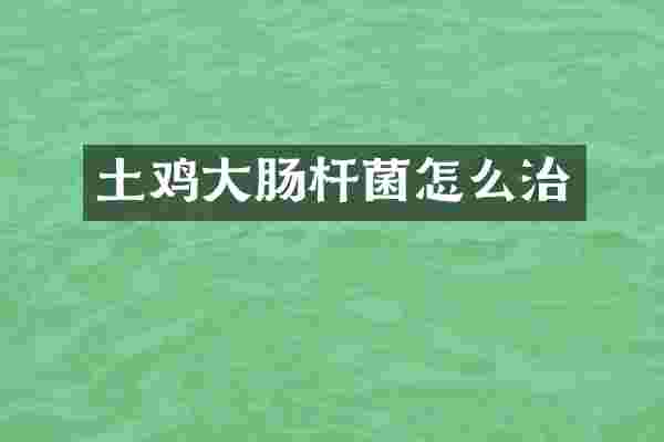 土鸡大肠杆菌怎么治
