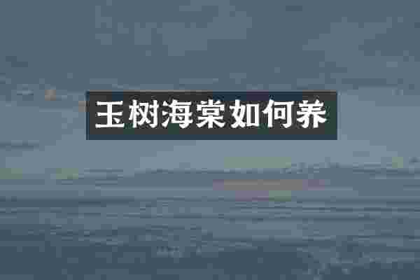 玉树海棠如何养