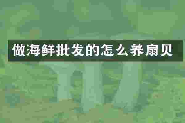 做海鲜批发的怎么养扇贝