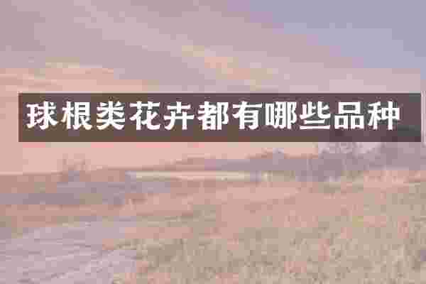 球根类花卉都有哪些品种