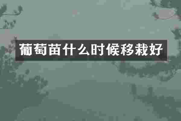 葡萄苗什么时候移栽好