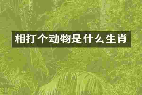 相打个动物是什么生肖