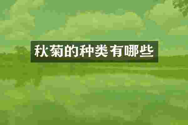 秋菊的种类有哪些