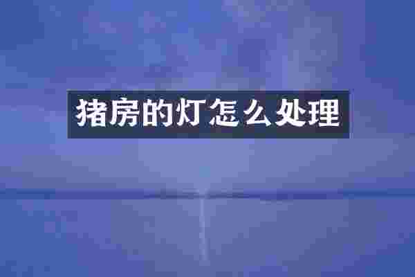 猪房的灯怎么处理