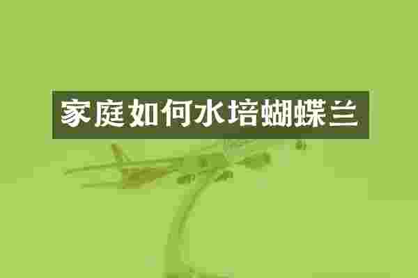 家庭如何水培蝴蝶兰