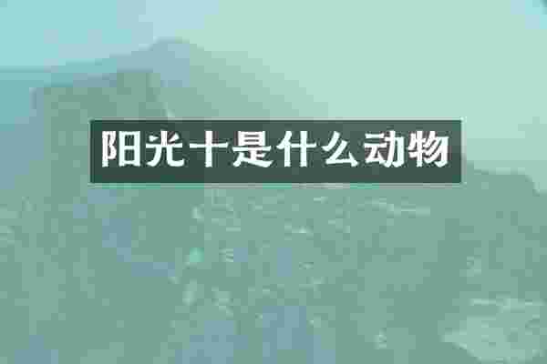 阳光十是什么动物