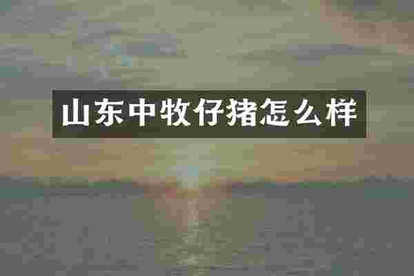 山东中牧仔猪怎么样