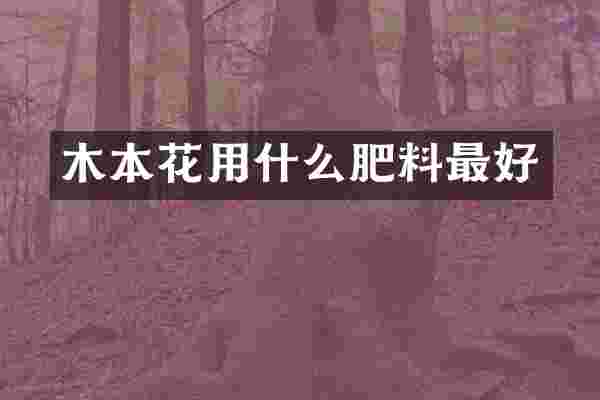 木本花用什么肥料最好